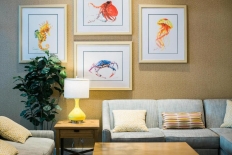 Hyatt House